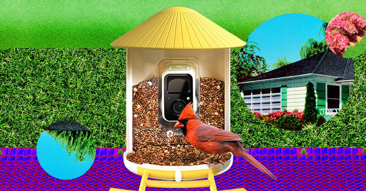 The Smart Bird Feeders Everyone’s Talking About (and Actually Buying) (2026)